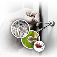 all locksmith services